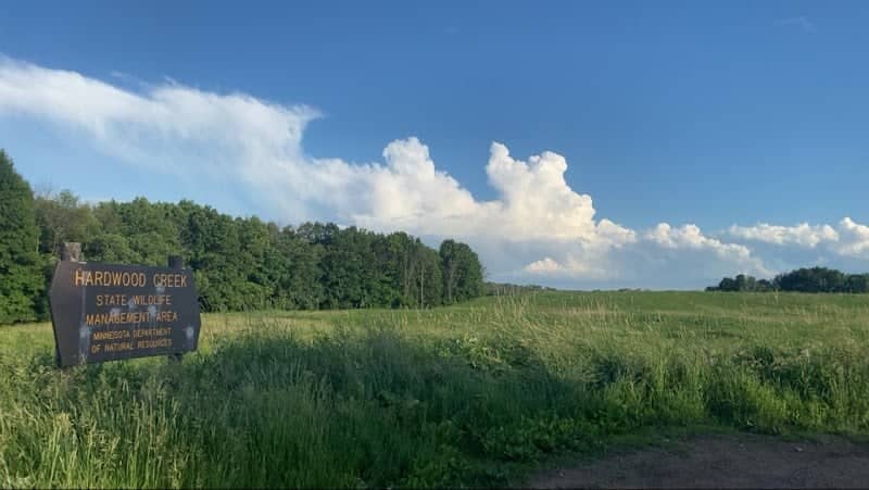 Hardwood Creek WMA - Image 1