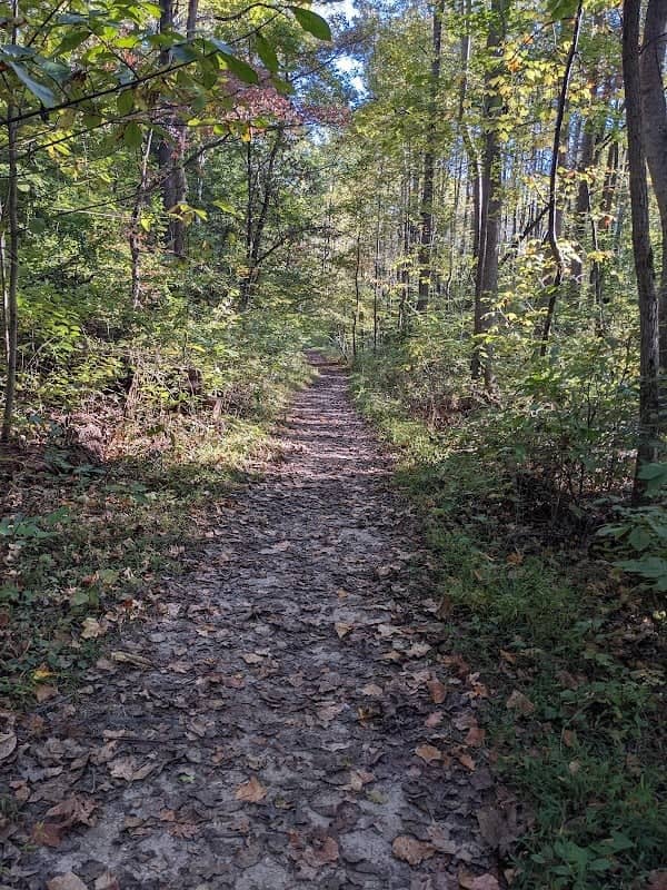 American Chestnut Land Trust South Side Trailhead - Image 3