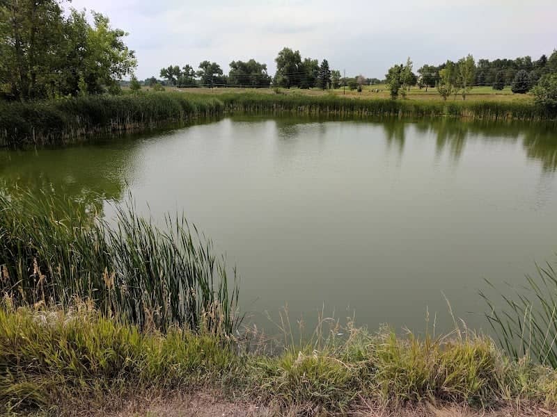 Ellie’s Pond - Image 2