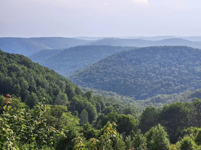 Hammersley Wild Area - Image 3