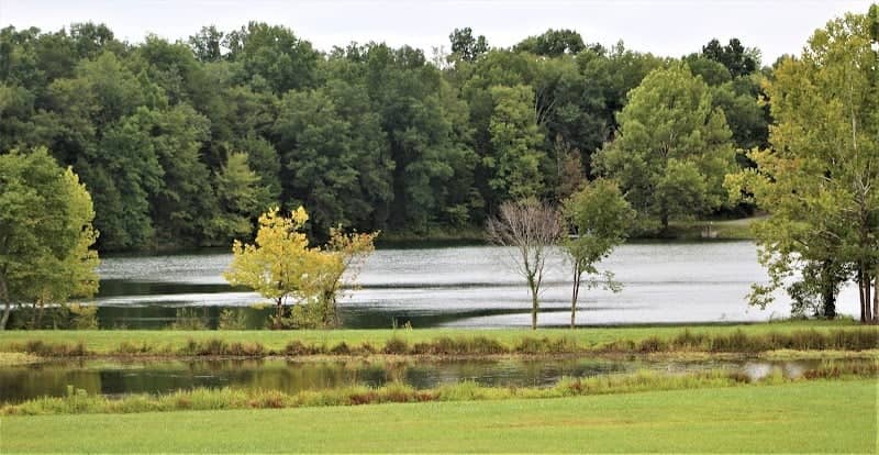 Rob Wallace Park - Image 2