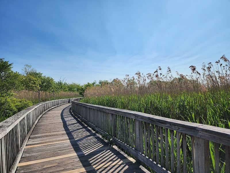 Claire D. McIntosh Wildlife Refuge - Image 3