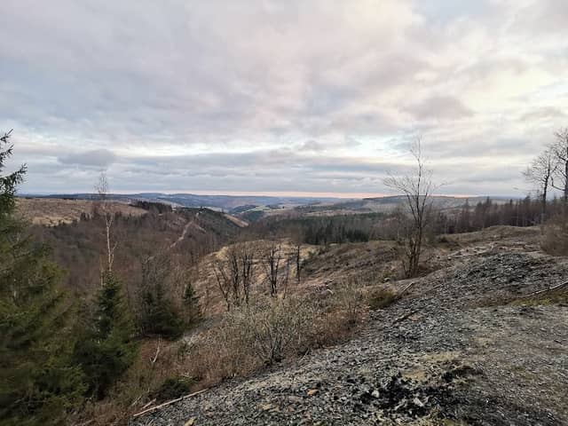 Aussichtspunkt am Rennsteig - Image 1