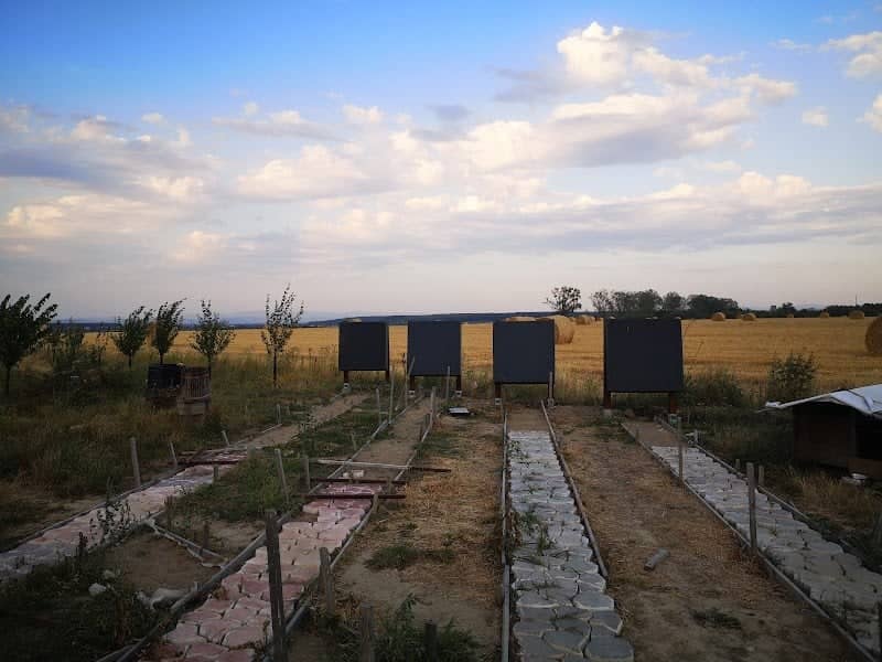 ArcAS - tir cu arcul dacic - Image 1