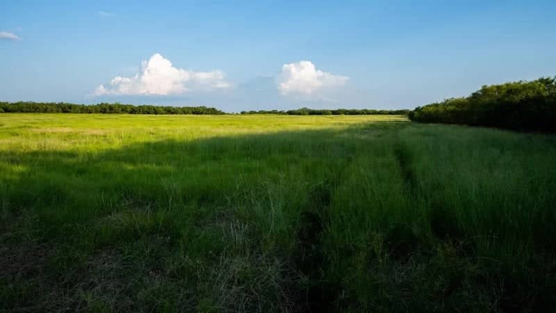 Windthorst City Park - Image 1