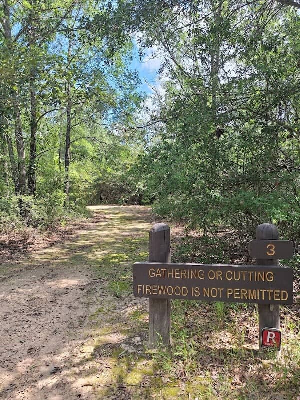 Fort Boggy State Park - Image 2