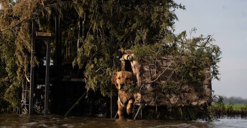Swamp Nasty Outfitters - Image 1