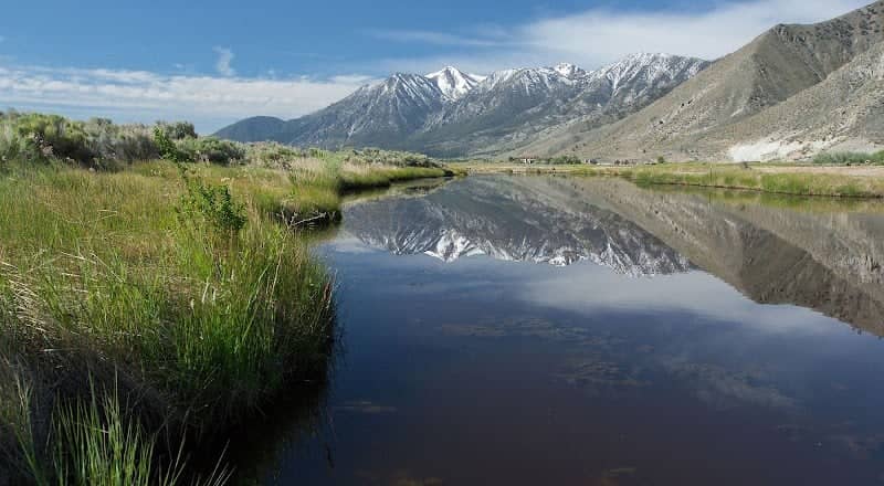 River Fork Ranch Preserve - Image 1