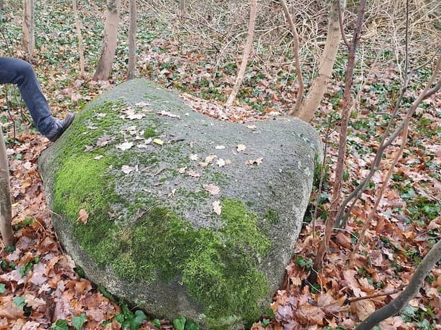 Fischis Steinmiezi - Image 2