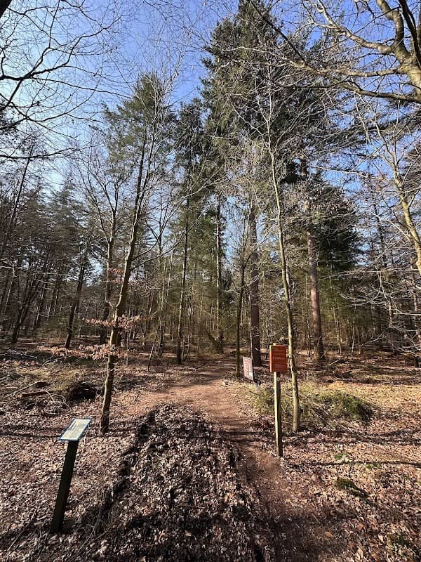 Herdenkingsplaats Eerlerberg - Image 1