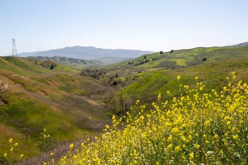 Upper Aliso Trail - Image 1