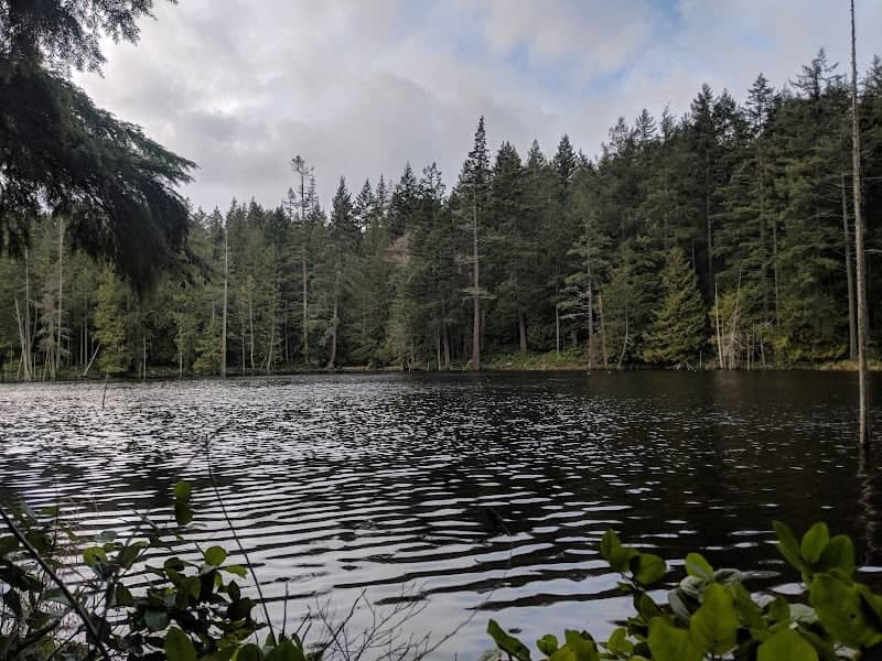 Anacortes Community Forest Lands North - Image 3