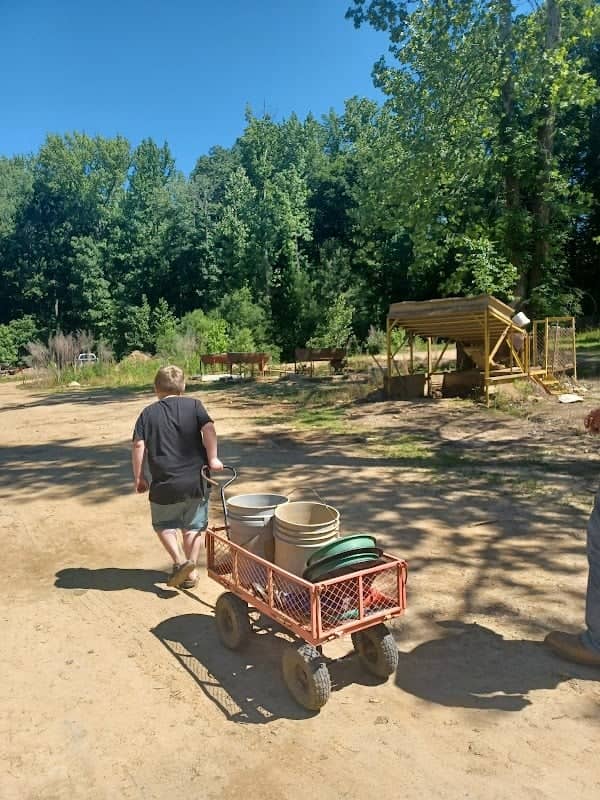 Mountain Creek Gold Mine - Image 2