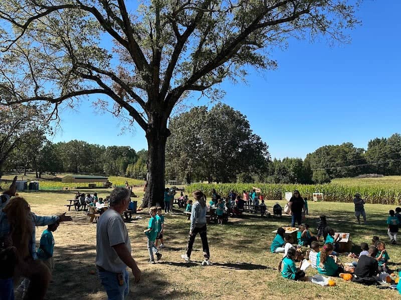 Rolling Oaks Farms Cornmaze - Image 1