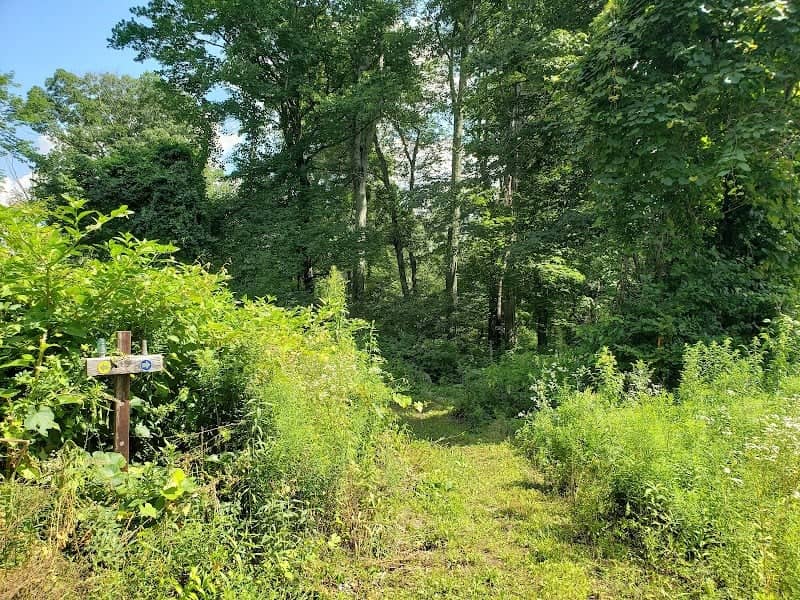 Gellert/Valentine Preserve - Image 2