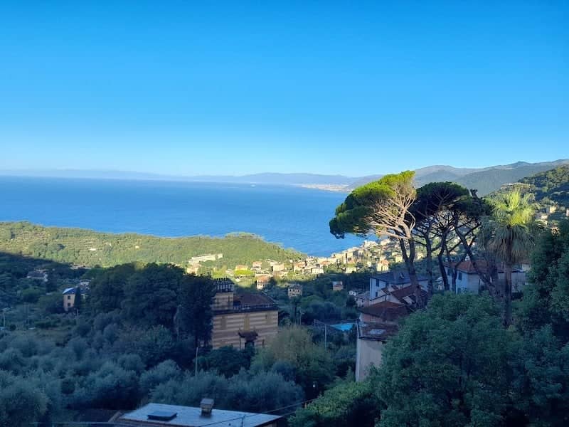 View Point Il parco in Bicicletta - Image 1