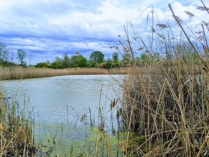 Southgate Nature Center - Image 1