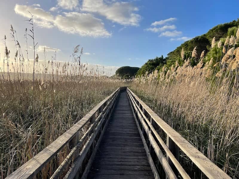 Stagno di Platamona - Image 1