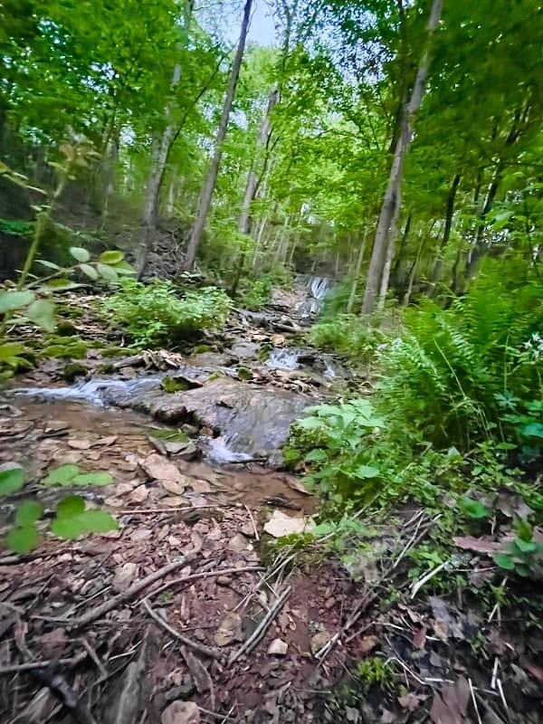 Buttermilk Falls - Image 1