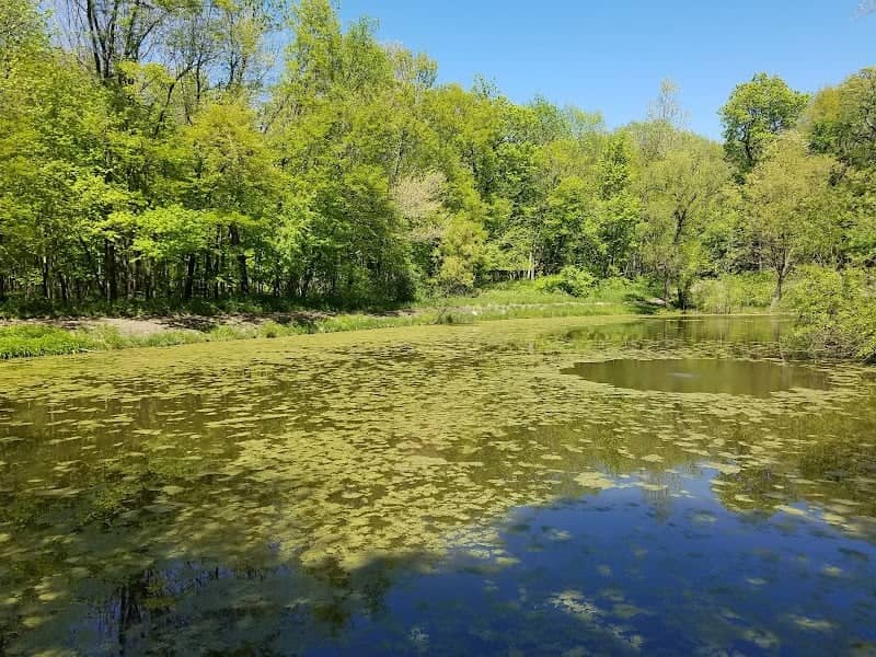 Humiston Woods Nature Preserve - Image 2
