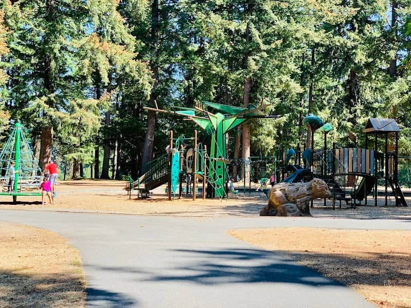 Lake Wilderness Playground - Image 2