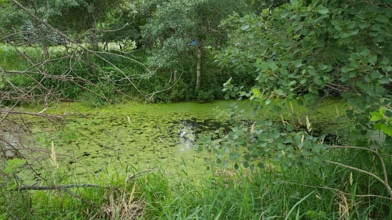 Marshall Manor Park - Image 2