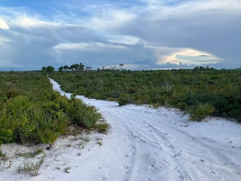 Lake Wales Ridge Wildlife Refuge - Image 2