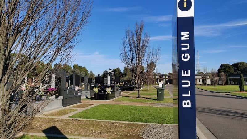 Blue Gum - Image 3