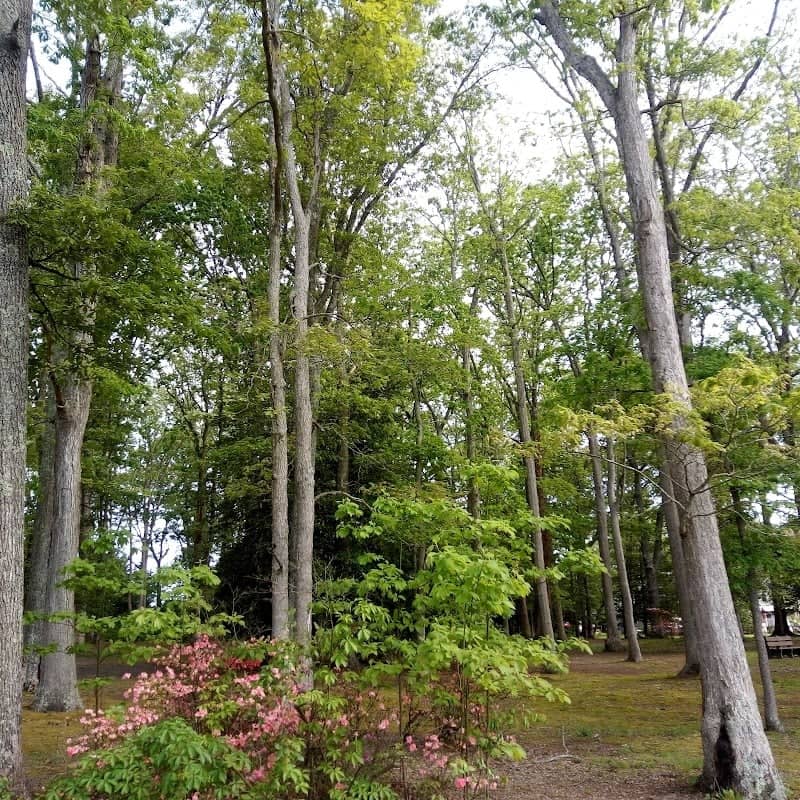Hartshorne Park - Image 2