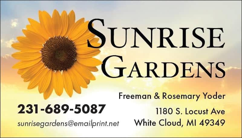 Sunrise Gardens - Image 1