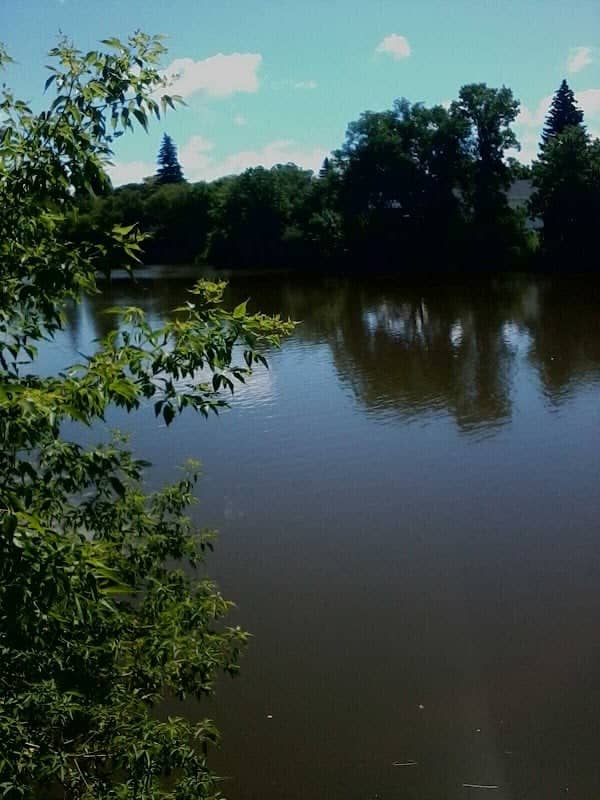 Thief River - Image 2