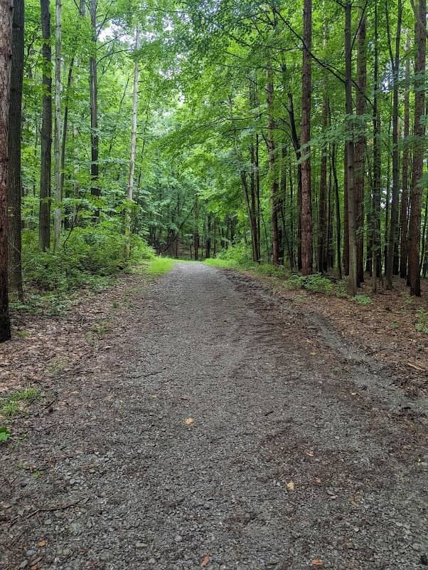 Canadice Lake Trail - Image 1