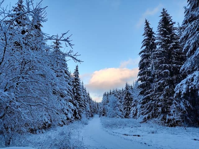 Harzer Bachtäler - Image 1