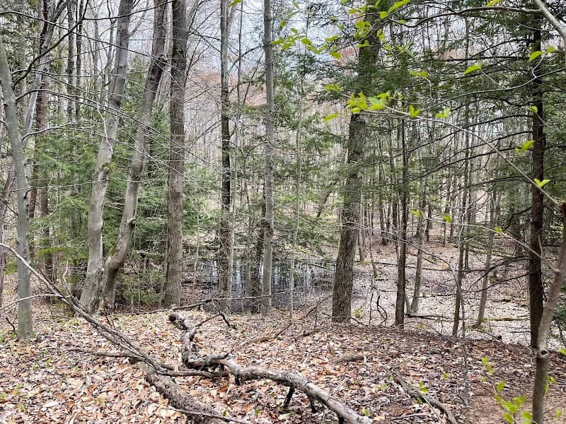 Barvick’s Sand Dune Preserve - Image 1