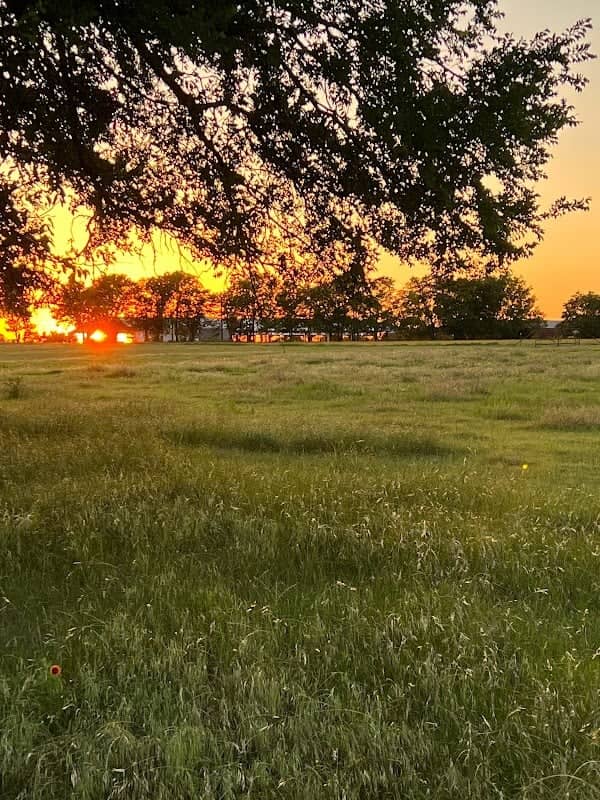 Cheri Creek Farms - Image 1
