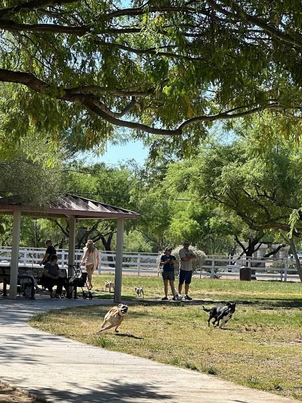 Quail Creek Dog Park - Image 1