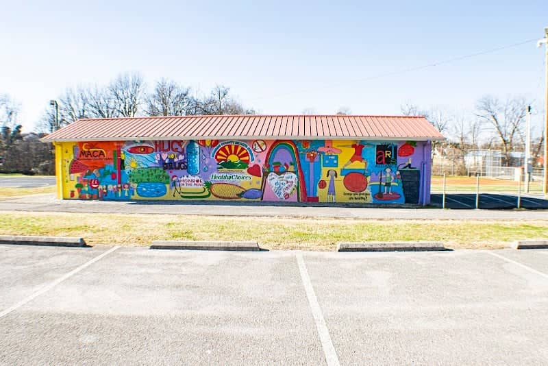 Mural - Houston Park Mural By MACA - Image 1