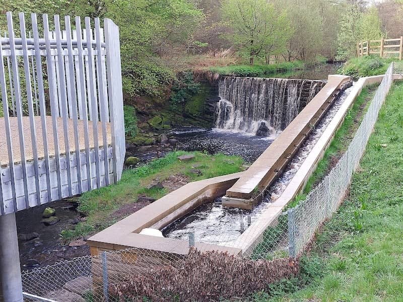 Limefield Falks - Image 3