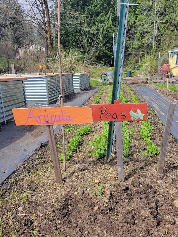 Mason County Master Gardeners Catalyst Park Demonstration Garden - Image 1