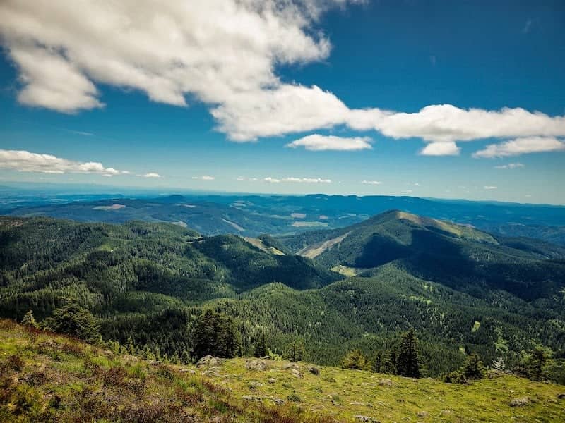 Marys Peak Botanical Special Interest Area - Image 1
