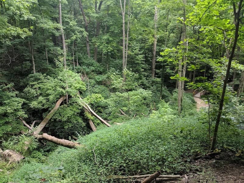 Starkey Park - Image 3