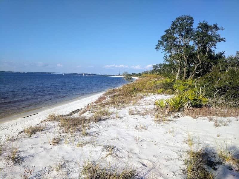 Deadman's Island - Image 2