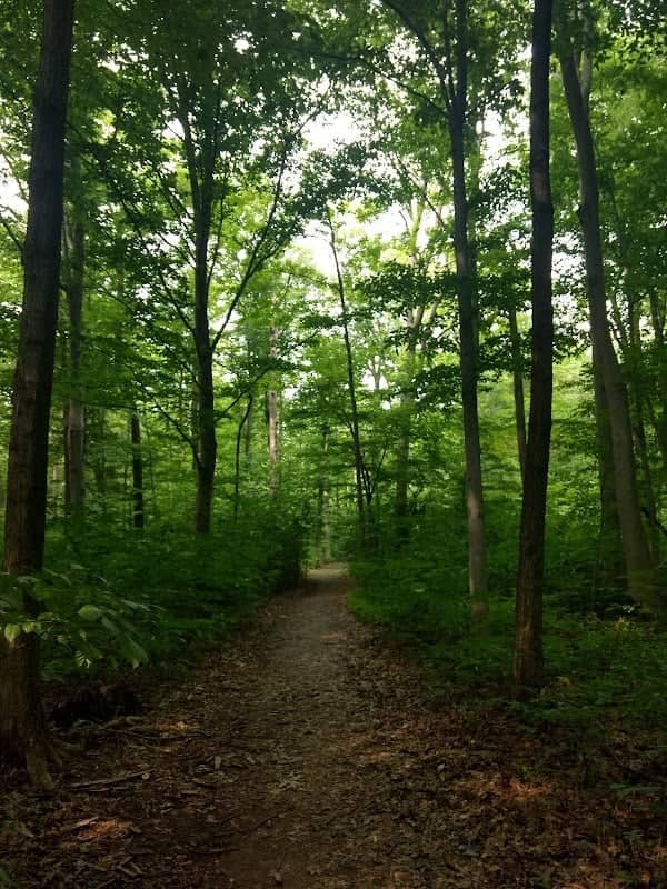 Burnett Woods - Image 1