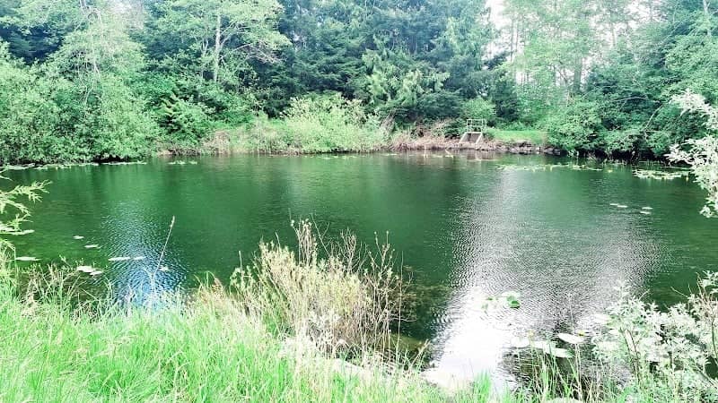 Small pen lake - Image 1