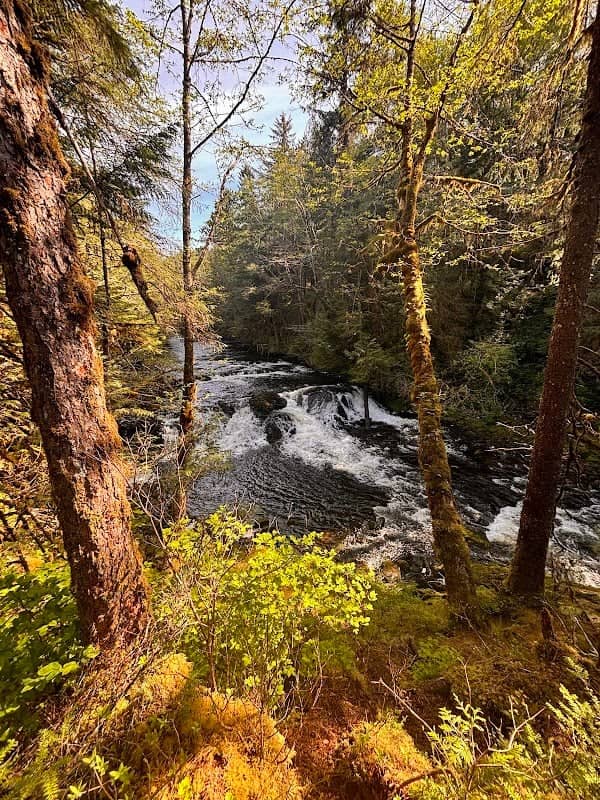 Ward Creek Waterfall Viewing Platform - Image 1