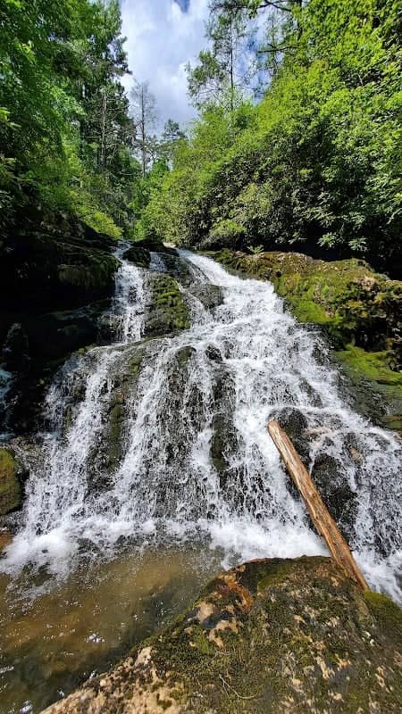 Yellow Creek Falls - Image 1