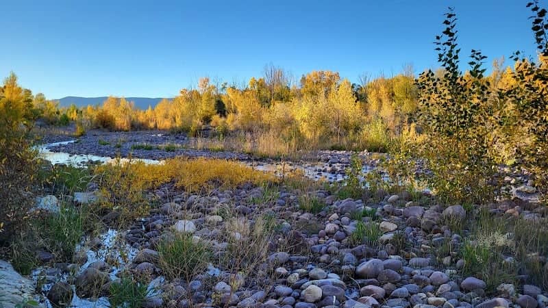 Ashley Nature Park - Image 1