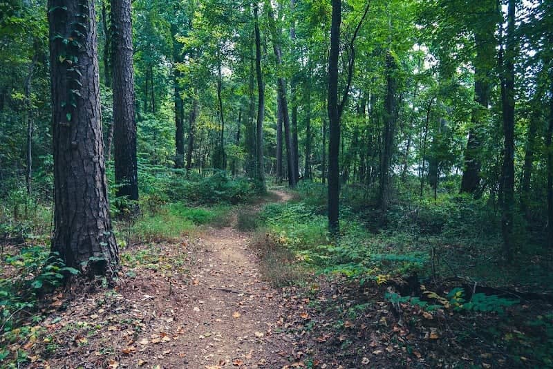 Samuel Harden Sr. Loop Trail - Image 2