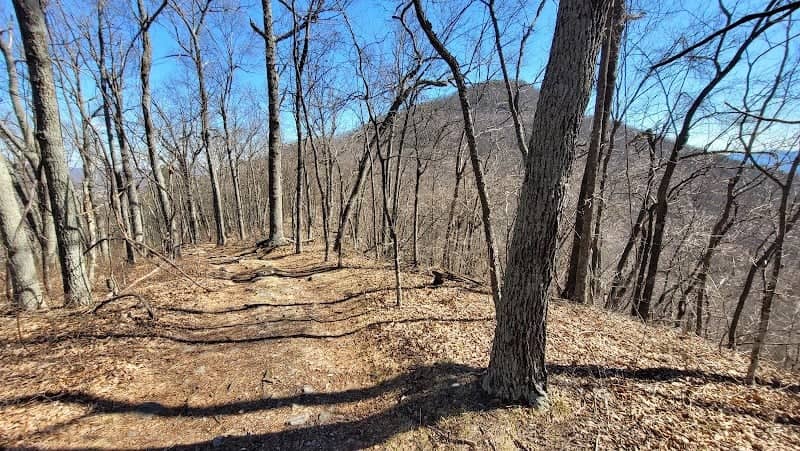Massanutten Mountain - Image 1