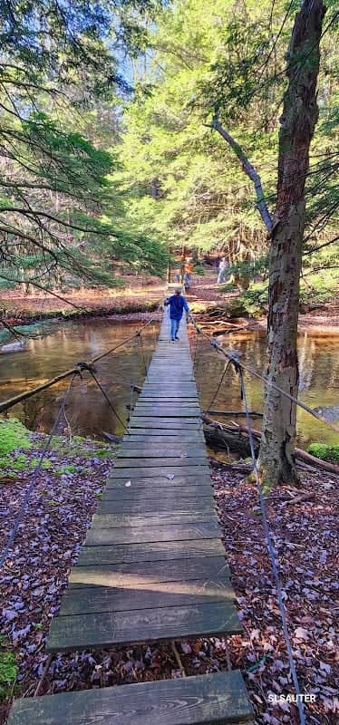 Gallitzin State Forest - Image 1